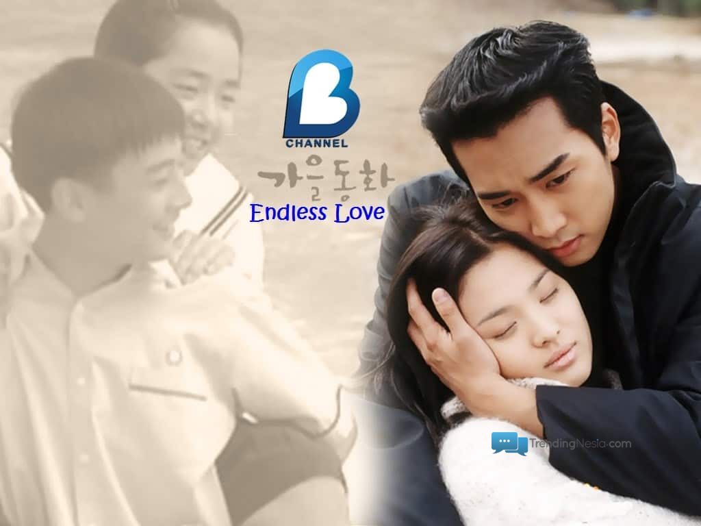 endless love korean drama sub indo