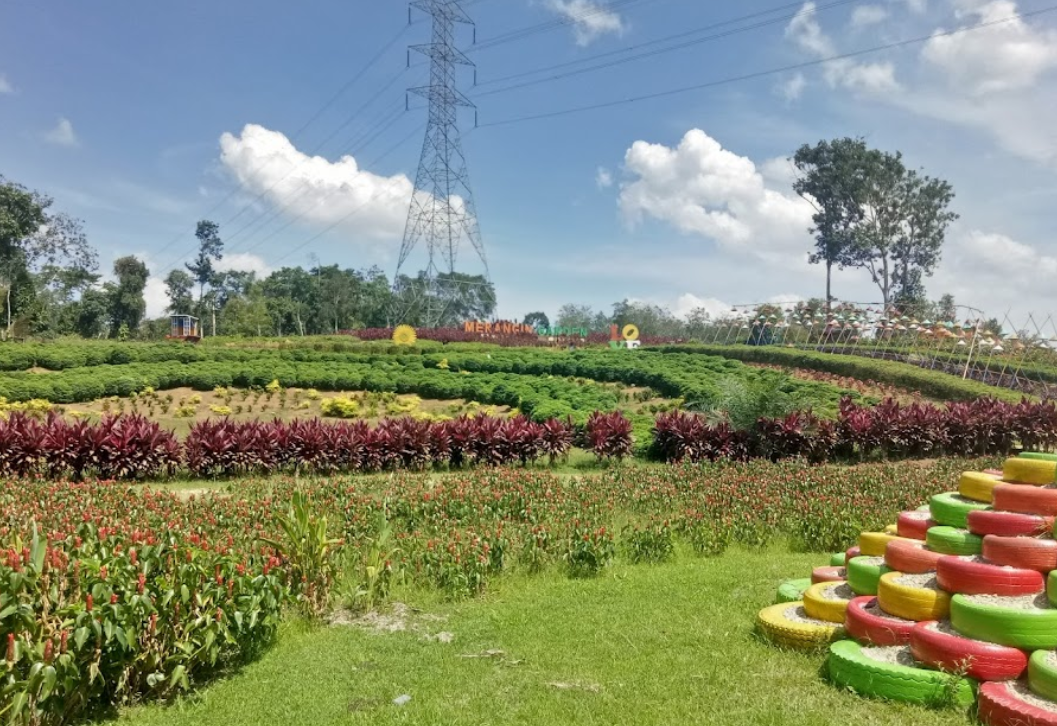 Merangin Garden Jambi